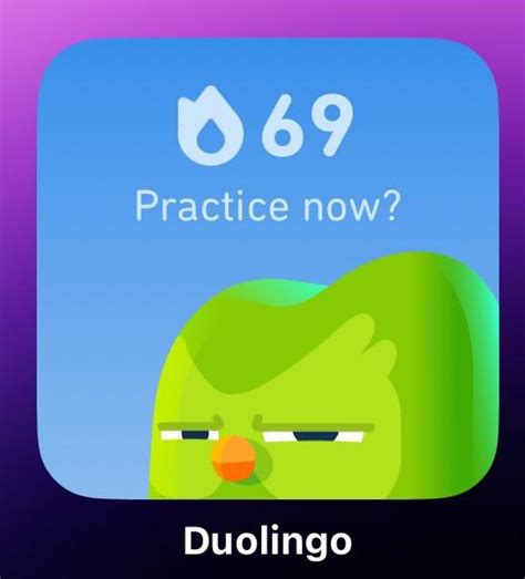 duolingo gif|Bird's Eye: A powerful tool for exploring app .